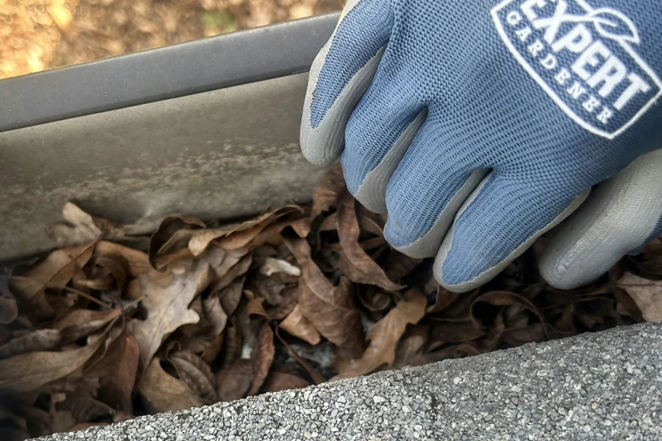 Gutter Cleaning Oakley