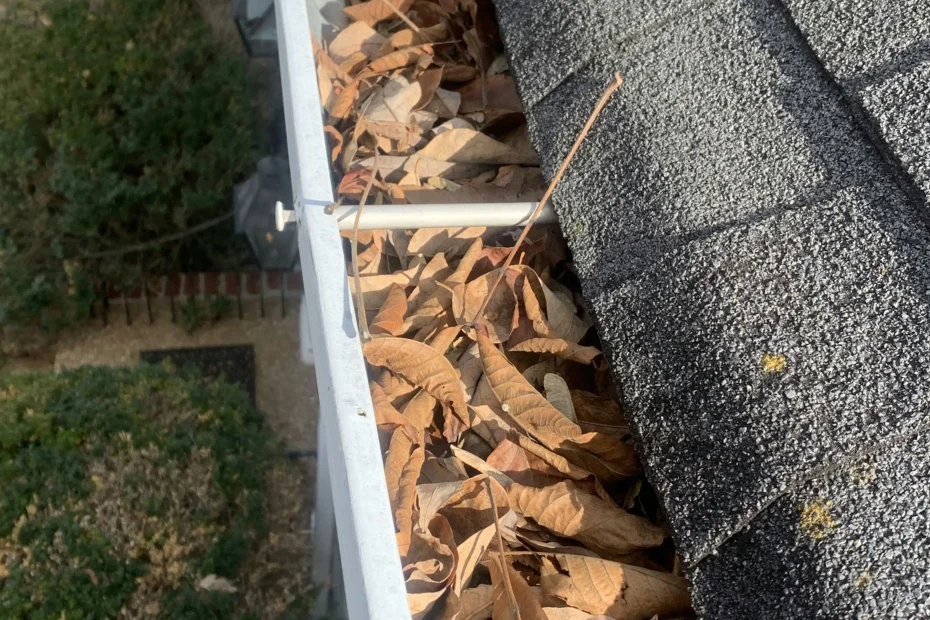 Gutter Cleaning Oakley